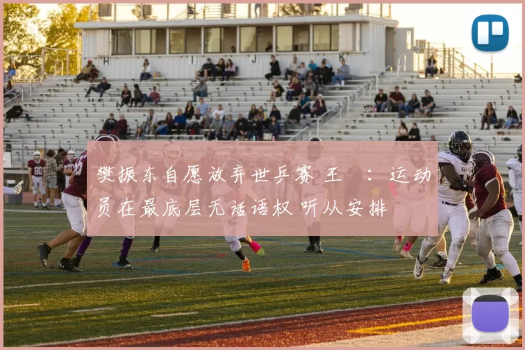 樊振东自愿放弃世乒赛 王濛:运动员在最底层无话语权 听从安排